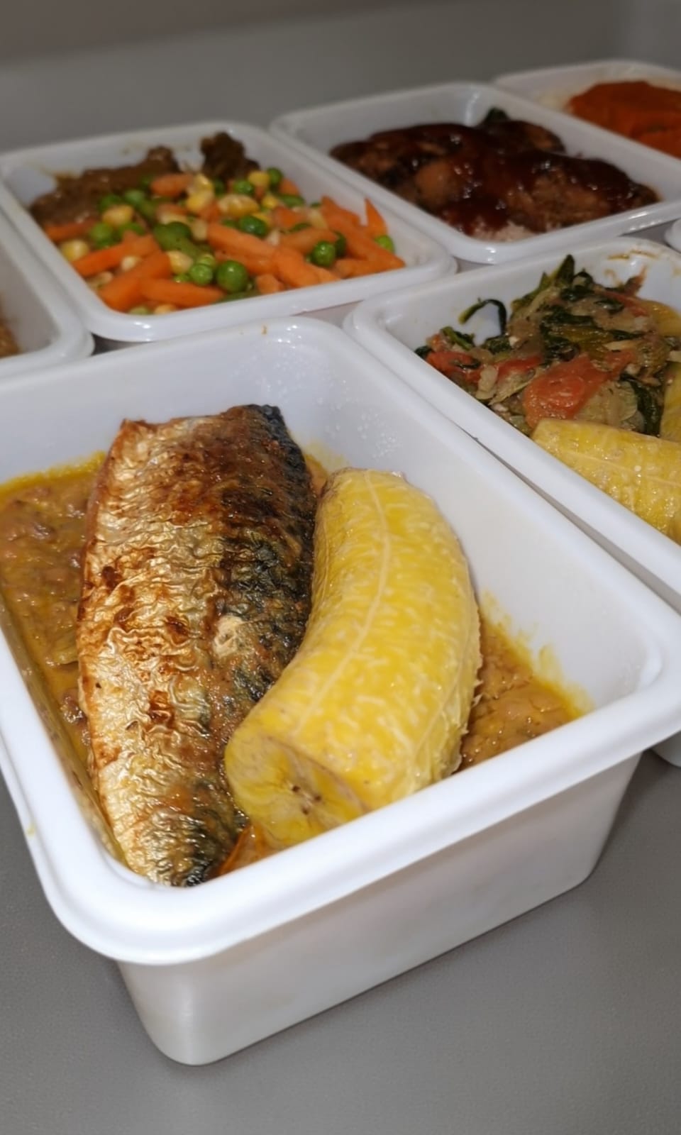 Too Busy to Cook - Ready Meals